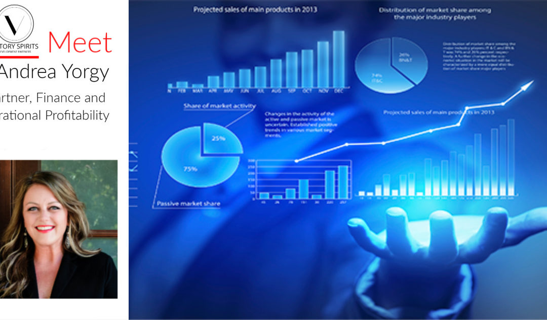 Accounting for Profitability
